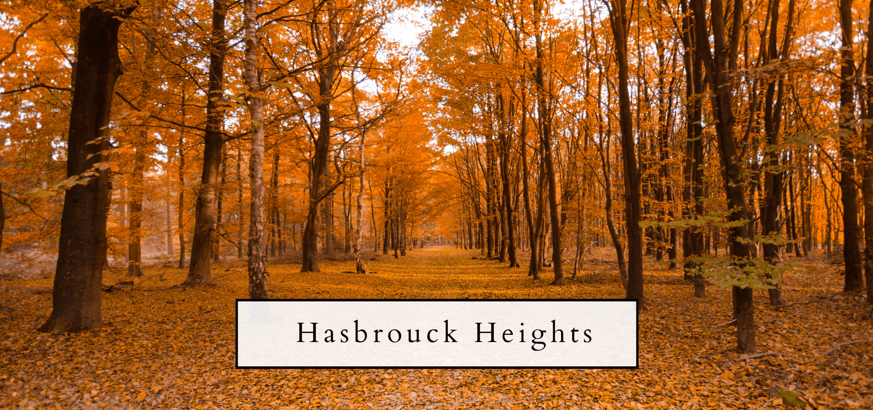 Fall Fun in Hasbrouck Heights: A Season of Delight - Modern Memory Design Picture frames - NJ Frame shop Custom framing
