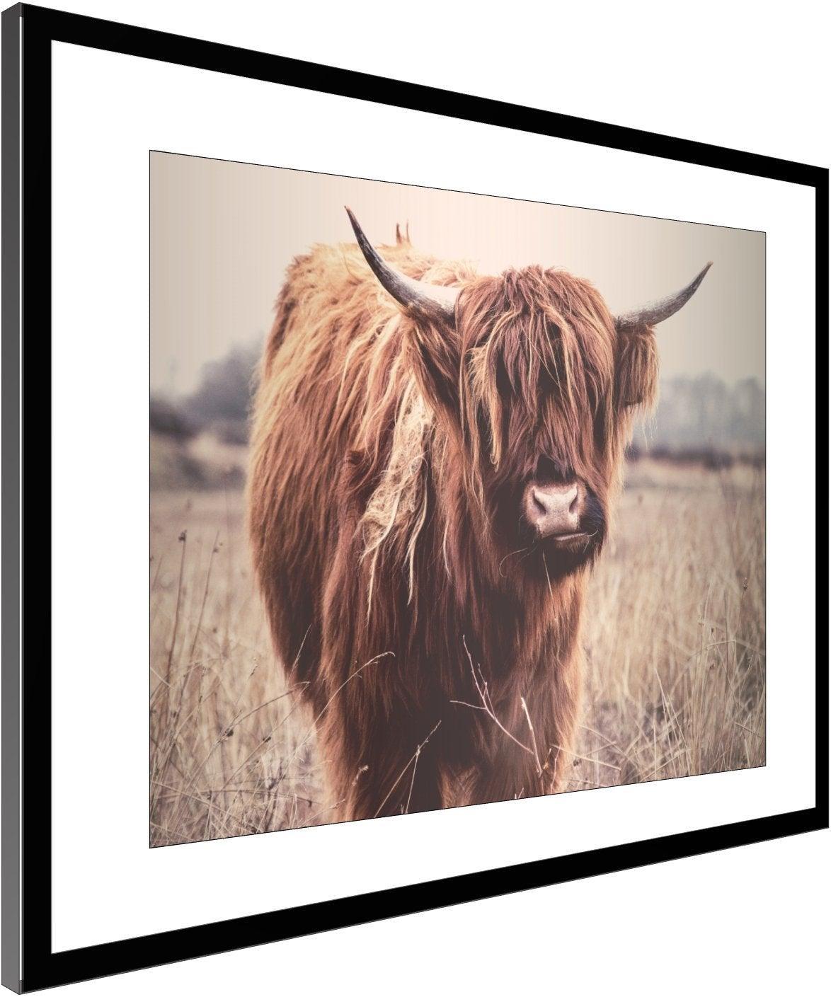 Animal wall art canvas prints or framed art - Modern Memory Design Picture frames - New Jersey Frame Shop Custom Framing