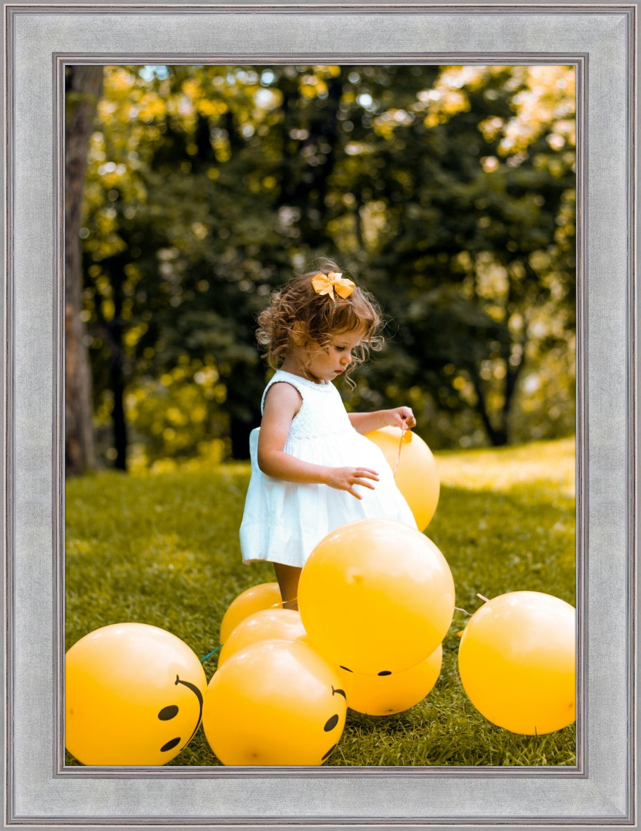 Traditional Picture Frames - Modern Memory Design Picture frames - New Jersey Frame Shop Custom Framing