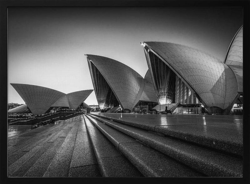 In Silhouette - Tim Fan Framed Art | Home or Office Art