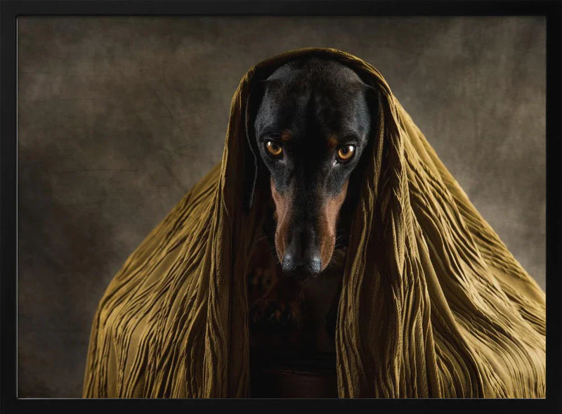 Golden Eyes Framed Art Heike Willers | Home or Office Art