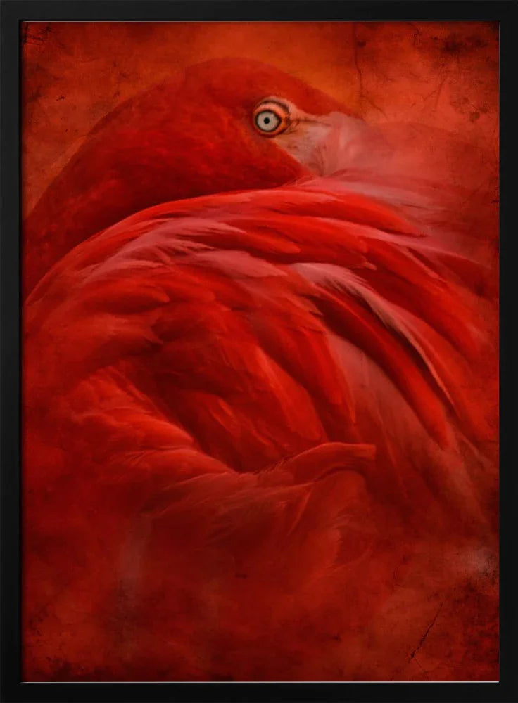 tropical Framed Art Jeffrey Hummel | Home or Office Art