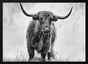 La force Framed Art Stéphane Pecqueux | Home or Office Art