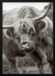 The Bull Framed Art Jacky Parker | Home or Office Art