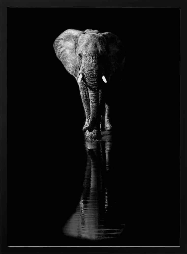 Elephant Framed Art Jie Fischer | Home or Office Art