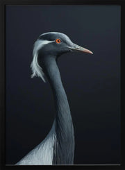 La Demoiselle Framed Art fegari | Home or Office Art