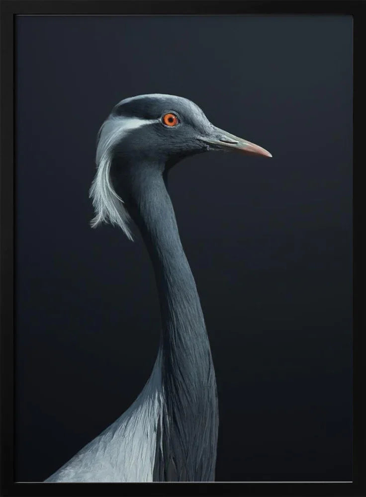 La Demoiselle Framed Art fegari | Home or Office Art