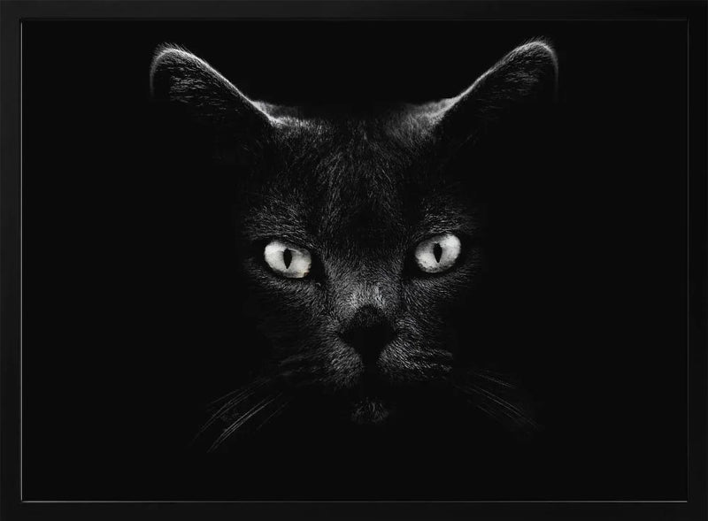 Untitled Framed Art Antonio Grambone | Home or Office Art