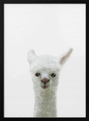 Llama Framed Art Pictufy Studio II | Home or Office Art