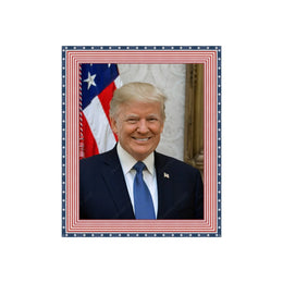 Donal Trump Red White and Blue Picture Frame Wall Hanging MADE IN USA  ModernMemoryDesign.com 