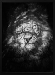 Being watched Framed Art Mike Taylor | Home or Office Art