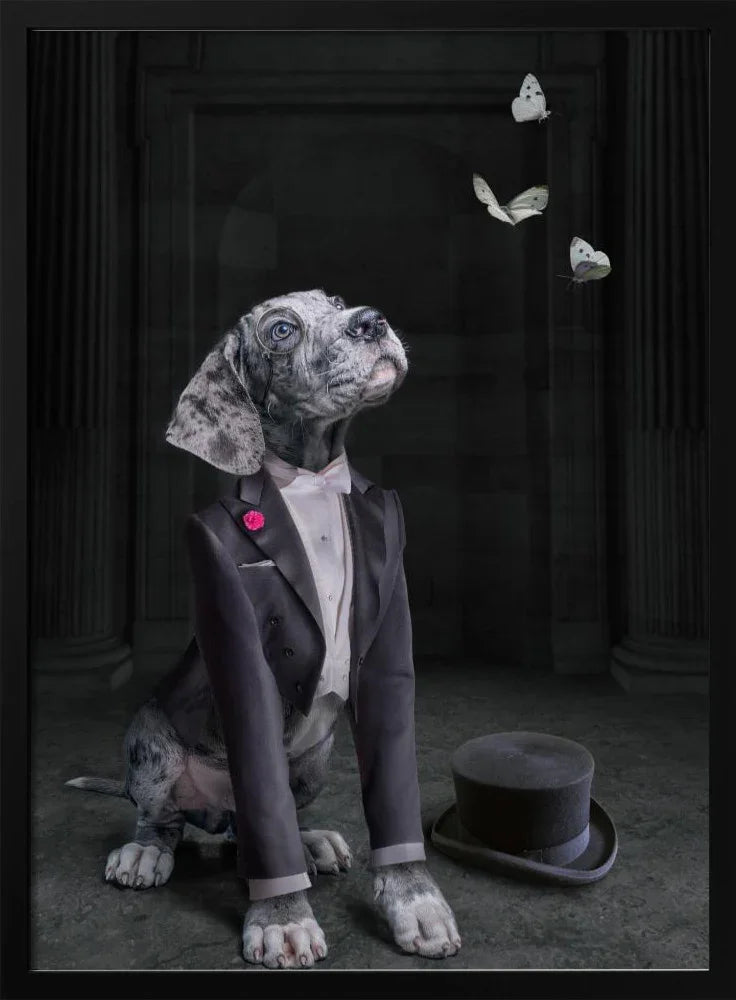 LordDog Framed Art Marcel Egger | Home or Office Art