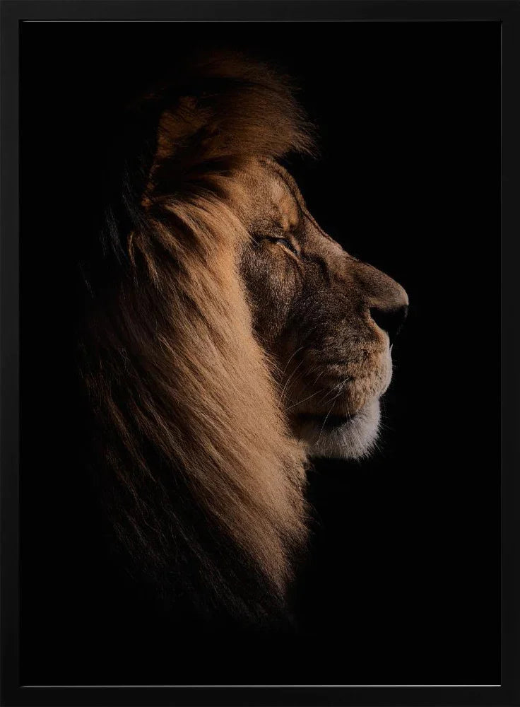 Sleeping King Framed Art Peter Schade | Home or Office Art