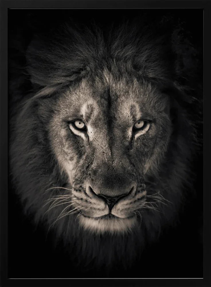 The king Framed Art Alex Zhao | Home or Office Art