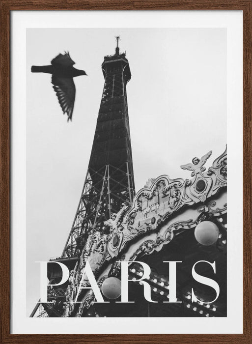Paris Dove Framed Art Modern Wall Decor