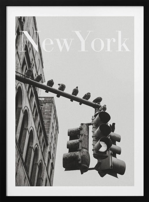 NYC Doves Framed Art Modern Wall Decor
