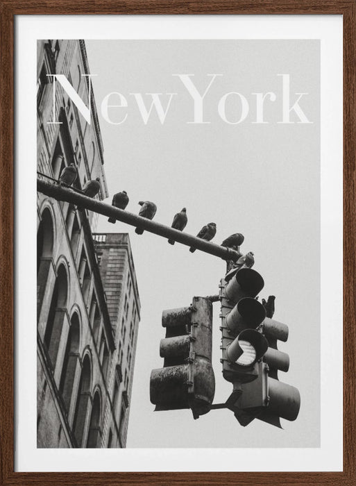 NYC Doves Framed Art Modern Wall Decor