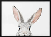Peeking Bunny Framed Art Kathrin Pienaar | Home or Office Art