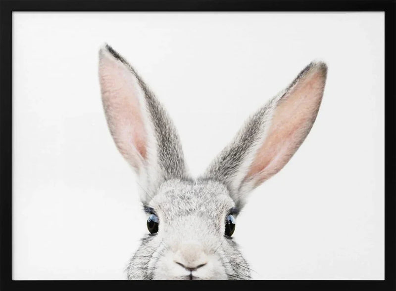 Peeking Bunny Framed Art Kathrin Pienaar | Home or Office Art