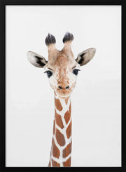 Baby Giraffe Framed Art Kathrin Pienaar | Home or Office Art