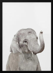 Baby Elephant Framed Art Kathrin Pienaar | Home or Office Art