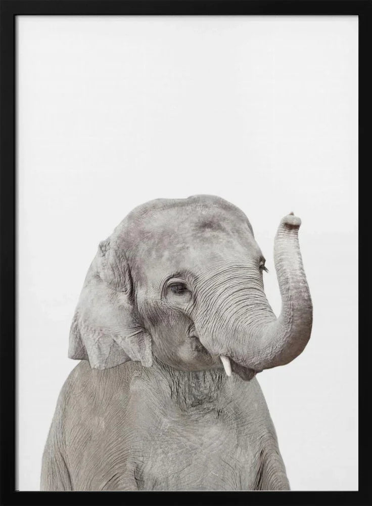 Baby Elephant Framed Art Kathrin Pienaar | Home or Office Art
