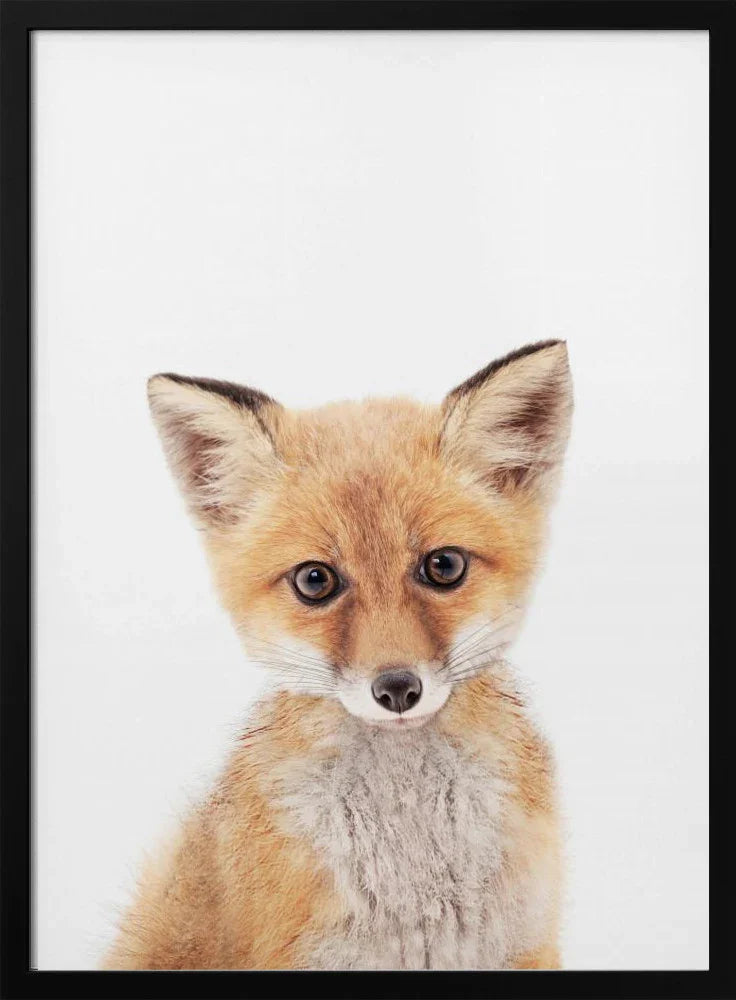 Baby Fox Framed Art Kathrin Pienaar | Home or Office Art