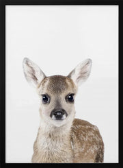Baby Deer Framed Art Kathrin Pienaar | Home or Office Art
