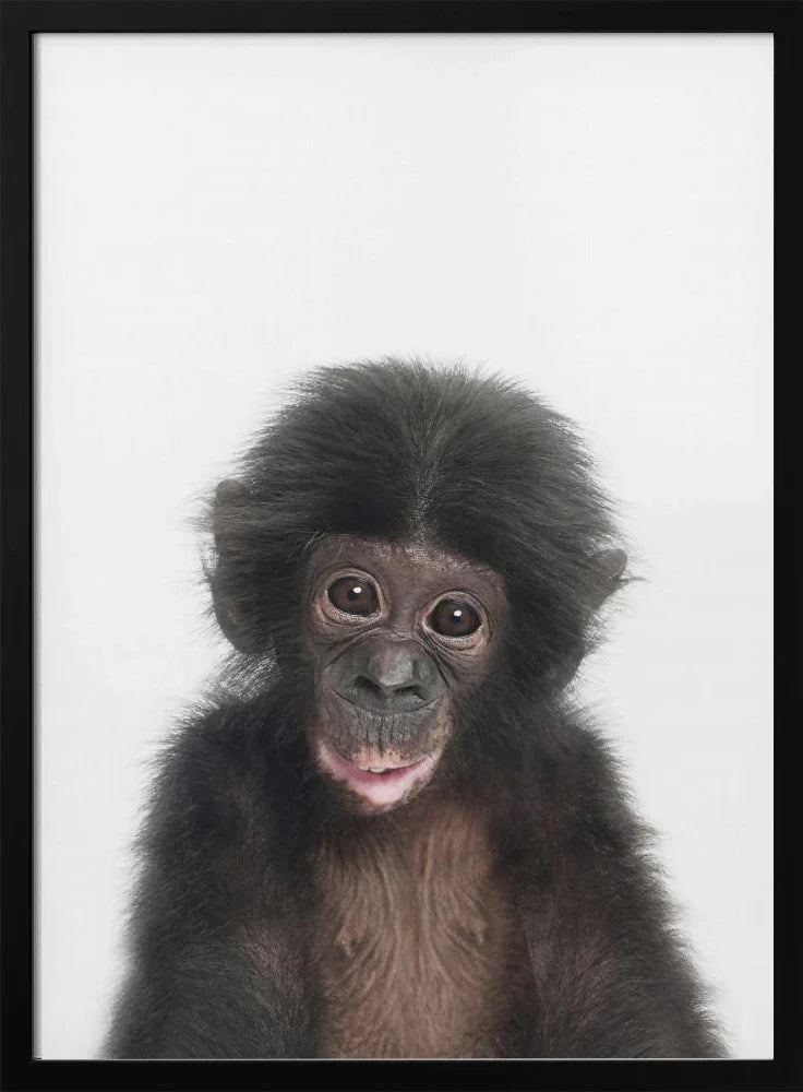 Baby Monkey Framed Art Kathrin Pienaar | Home or Office Art