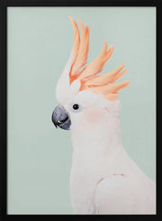 Cockatoo Framed Art Kathrin Pienaar | Home or Office Art