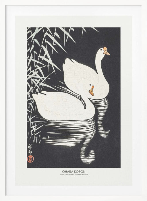 White Chinese Geese Swimming by Reeds Framed Art Modern Wall Decor