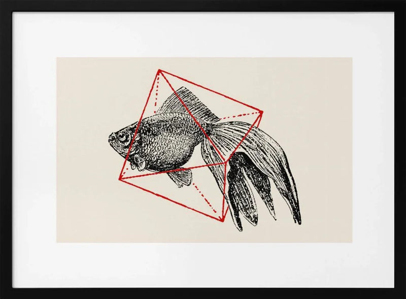 Fish In Geometrics Nº3 - Florent Bodart Framed Art | Home or Office Art
