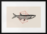 Fish In Geometrics Nº2 - Florent Bodart Framed Art | Home or Office Art