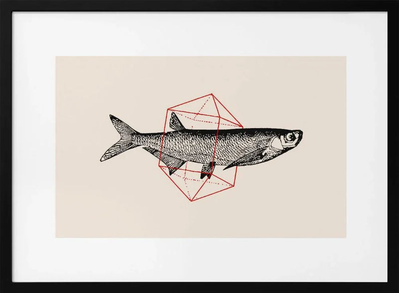 Fish In Geometrics Nº2 - Florent Bodart Framed Art | Home or Office Art