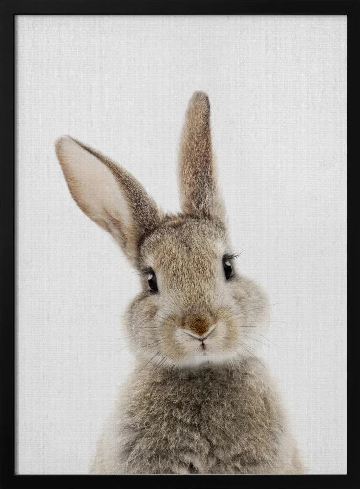 Peekaboo Bunny Framed Art Lola Peacock | Home or Office Art