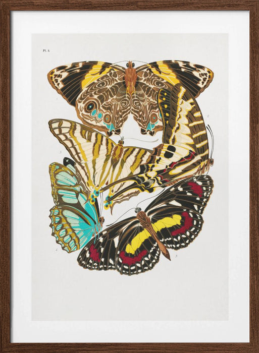 Butterflies 10 Framed Art Modern Wall Decor
