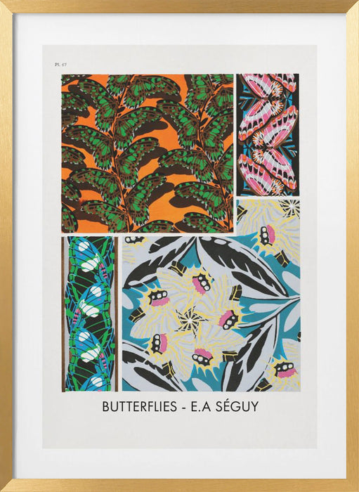 Butterflies 17 Framed Art Modern Wall Decor