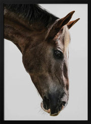 Kalimazoo Framed Art Shot by Clint | Home or Office Art