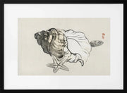 Star Fish and Conch - Kono Bairei Framed Art | Home or Office Art