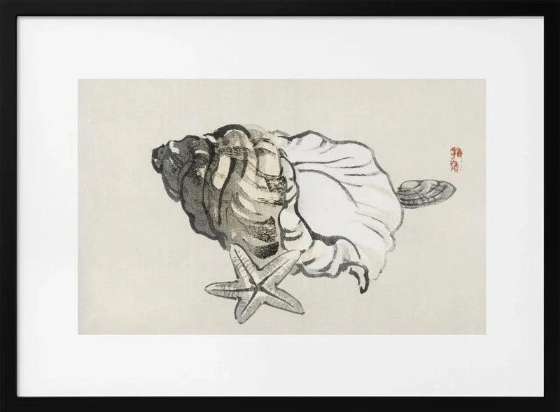 Star Fish and Conch - Kono Bairei Framed Art | Home or Office Art