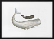 Gentle Ocean Giants - Isabelle Brent Framed Art | Home or Office Art