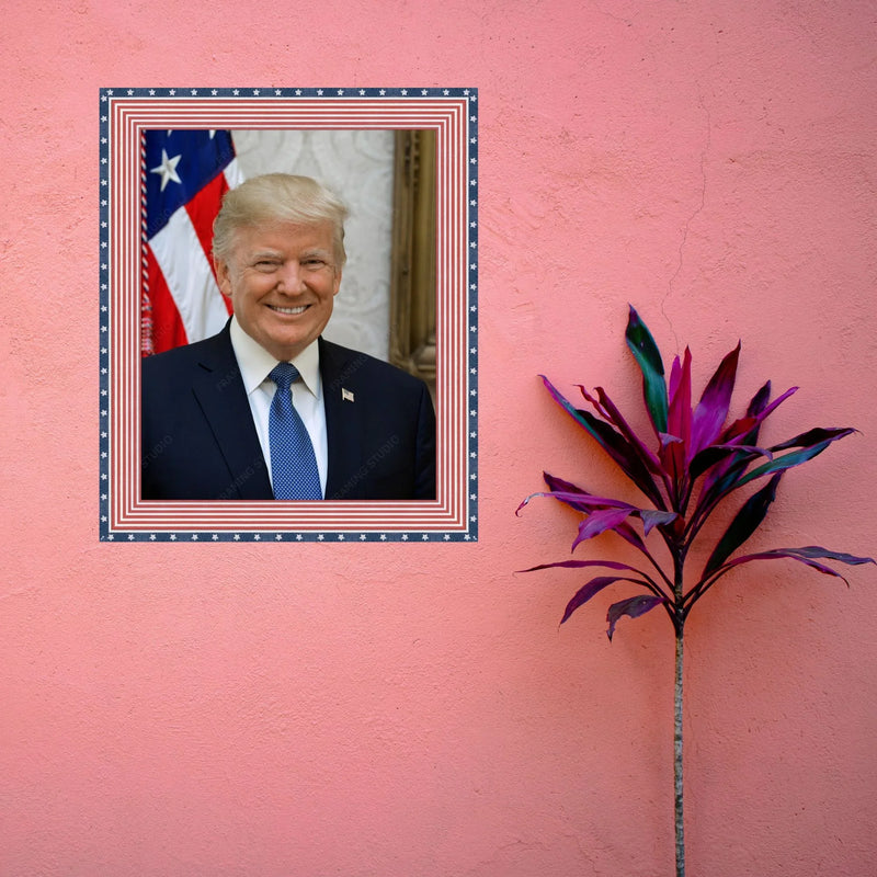 Donal Trump Red White and Blue Picture Frame Wall Hanging MADE IN USA  ModernMemoryDesign.com 