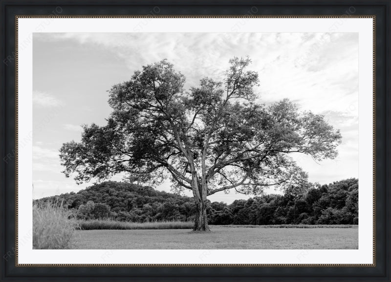 Gallery Black - Double Mat