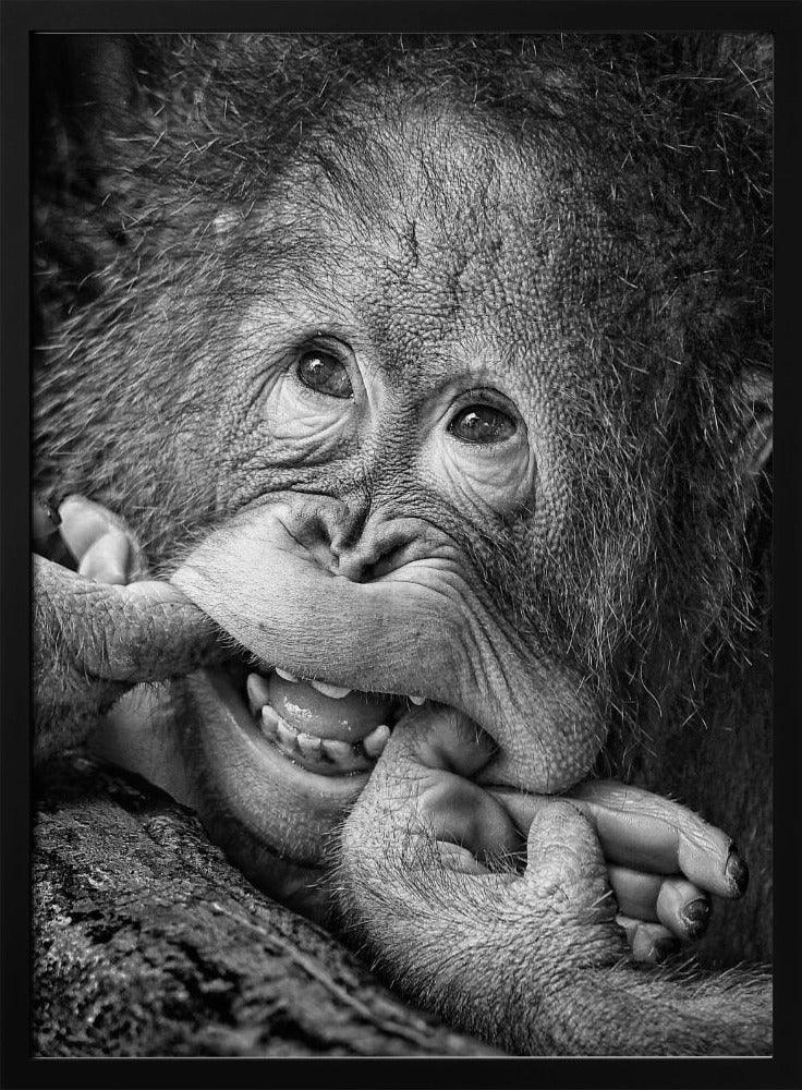 Big Smile.....please Framed Art Angela Muliani Hartojo | Home or Office Art