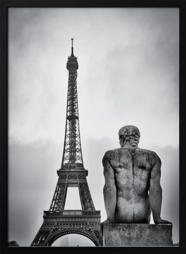 Steel lady - Guillaume Vigoureux Framed Art | Home or Office Art