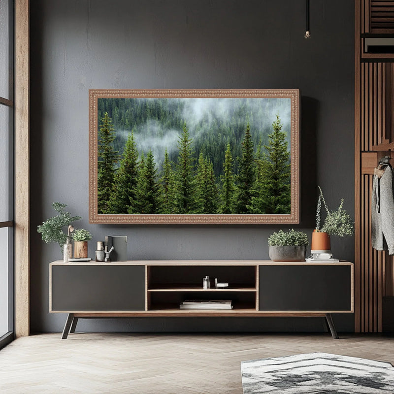 43 Inch TV Picture Frame - Decorative Custom frame for 43 inch TV  Modern Memory Design 