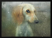 That autumn... Framed Art Svetlana MelikFramed ArtNubarova | Home or Office Art