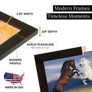 Modern Black 34x9 Picture Frame | 34 x 9 Poster Frame