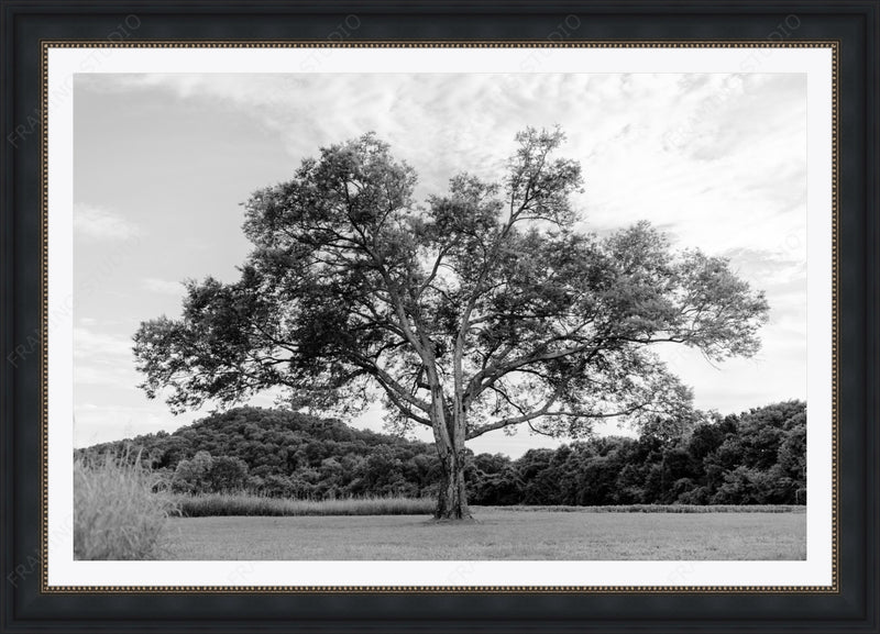 Gallery Black - Double Mat