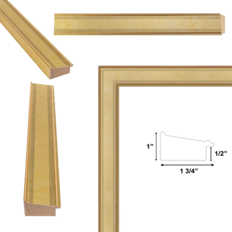 Pitcher Frame Moden Modern Contemporary Champagne Gold Flat Picture Frame Home Office